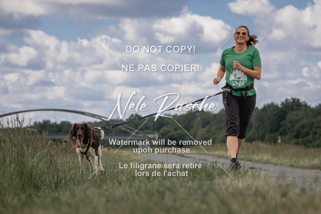nelerasche_BuHu2026_SaCC1100-1200_66 | nelerasche