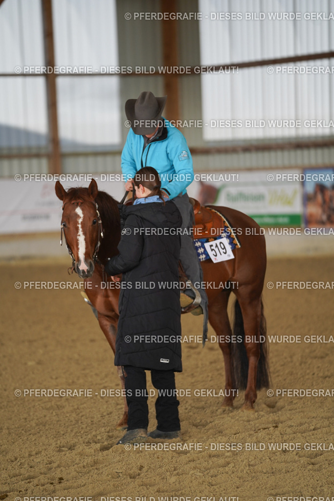 DSC08907 | Pferdegrafie