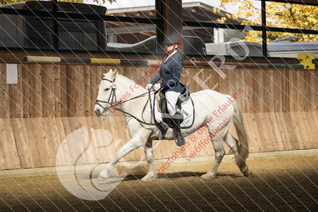 CON_6115 | Sport-, Event- und Tierfotos in Profiqualität. Einfach auswählen, bestellen und herunterladen. Dein Moment – perfekt festgehalten.