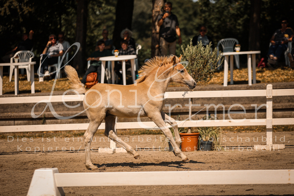 06.DoH00082 | Leoni Ertmer Photography - Realisiert mit Pictrs.com