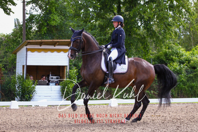 DKP41374 | Turnierfotos kaufen im Webshop von Daniel Kuhl Photography – entdecke professionelle Reitsportfotos aus Turnieren & Events. Hochwertige Turnierbilder online bestellen & sichern. Jetzt Fotos von Reitsportturnieren kaufen!
