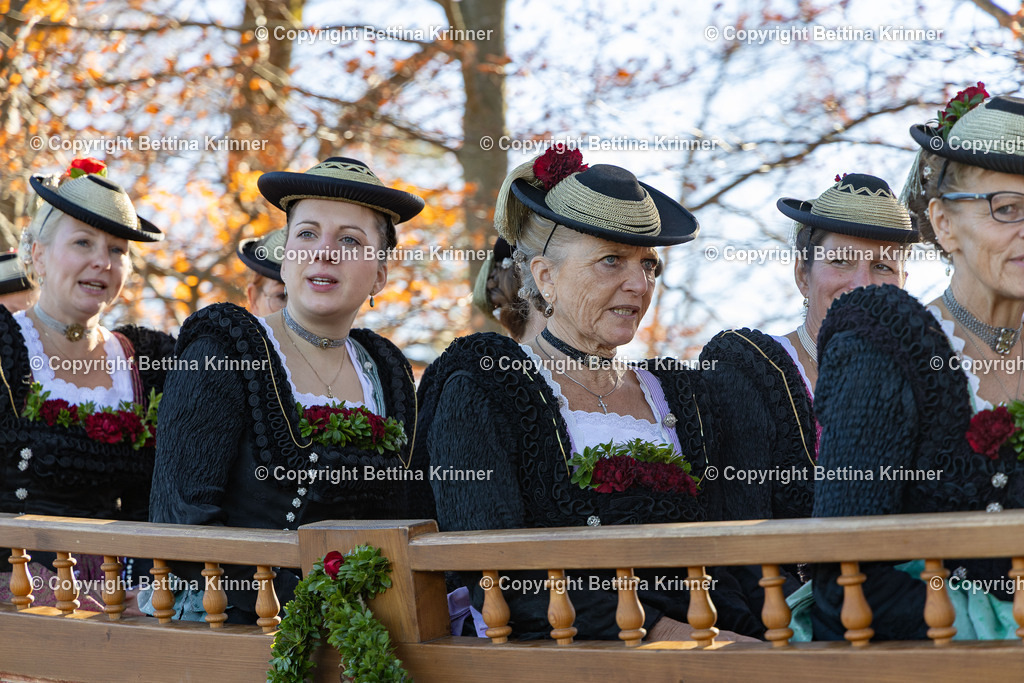 LBT25-988 | foto-bettina-krinner - Realisiert mit Pictrs.com