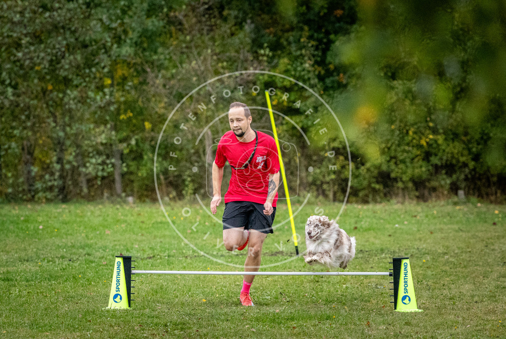 Pfotenfotografie_DV3A1459 | Hundefotografie, Tierfotograf, Pfotenfotografie, Fotoshooting Hund, Hunde Portrait, Hundesport, Hundeportraits, Heideshooting, Hunde, Sportfotograf, Hundefotograf, Turnierhundsport, THS,  - Realisiert mit Pictrs.com