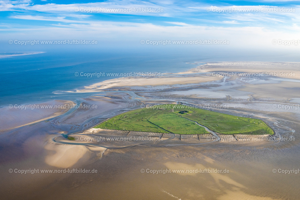 Süderoog_ELS_1055300523 | PELLWORM 30.05.2023 Grasflächen- Strukturen der Hallig- Landschaft Süderoog in Pellworm Nordfriesland im Bundesland Schleswig-Holstein, Deutschland. // Grassy structures of the Hallig landscape Suederoog in Pellworm Nordfriesland in the state Schleswig-Holstein, Germany. Foto: Martin Elsen