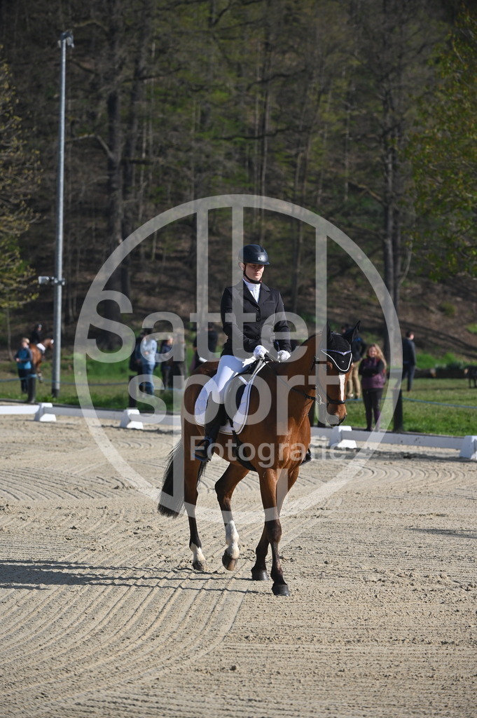 DSC_9965 | sattelsport - Realisiert mit Pictrs.com