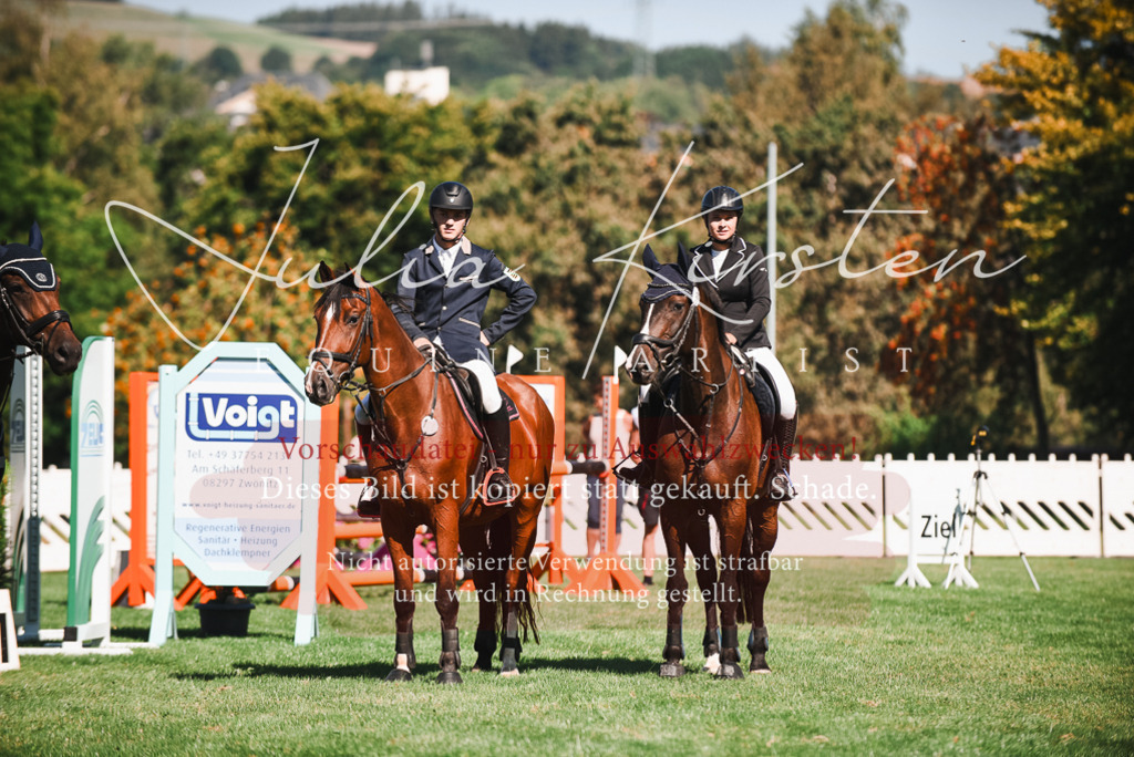 DSC_2602 | Pferde- und Turnierfotografie in Westsachsen. Pferdeportraits, Auftragszeichnungen und intuitive Kunst.