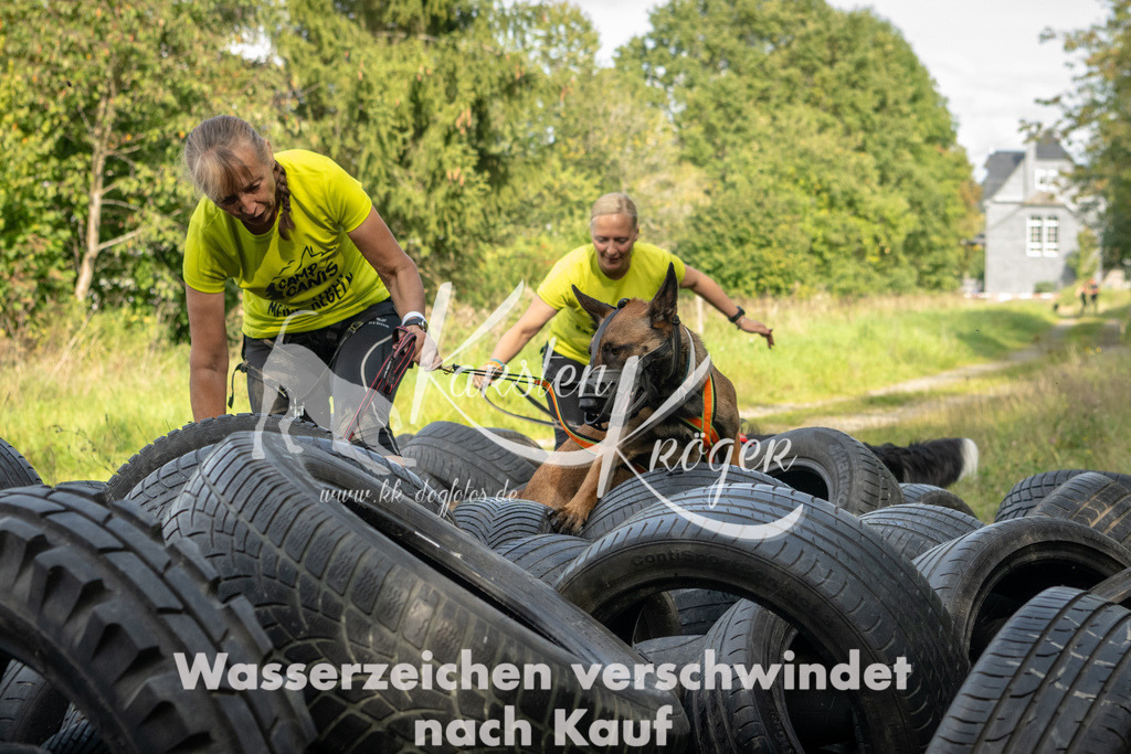 1535_ZZ91751 | kk-dogfotos