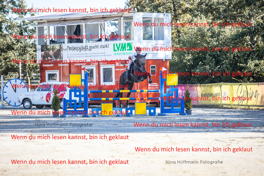 BK1A5994 | Turnierbilder Turnierfotos Nina Hüffmann Turnierfotografie Pferdefotografie Tierzeichnung Haustierzeichnung Pferdezeichnung Hundezeichnung Videograf  - Realisiert mit Pictrs.com