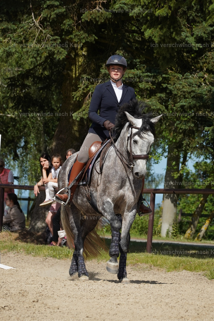KlasseM_Lucie (10) | working equitationturnier fotograf videograf stoibphotography marixx film working equitation deutschland reitsport turnierfotografie eventfotografie equestrian events