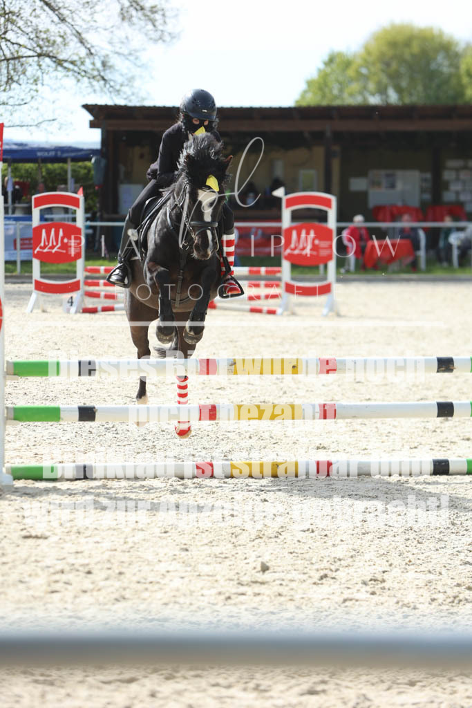 IMGM6607 | pl-fotografie