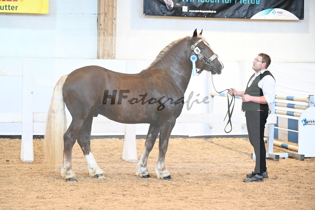 Kat-Nr. 8 v. Valegro_Glonecker_6240187 | hf-fotografie - Realisiert mit Pictrs.com
