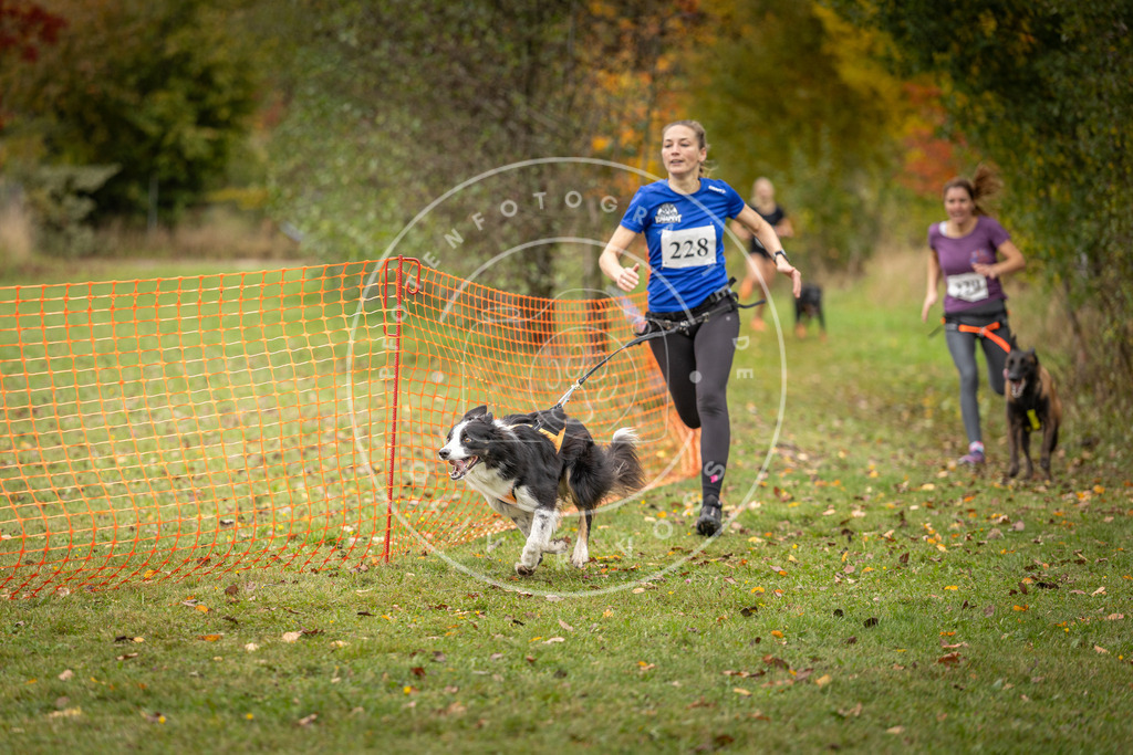 Pfotenfotografie_DV3A4526 | Hundefotografie, Tierfotograf, Pfotenfotografie, Fotoshooting Hund, Hunde Portrait, Hundesport, Hundeportraits, Heideshooting, Hunde, Sportfotograf, Hundefotograf, Turnierhundsport, THS,  - Realisiert mit Pictrs.com