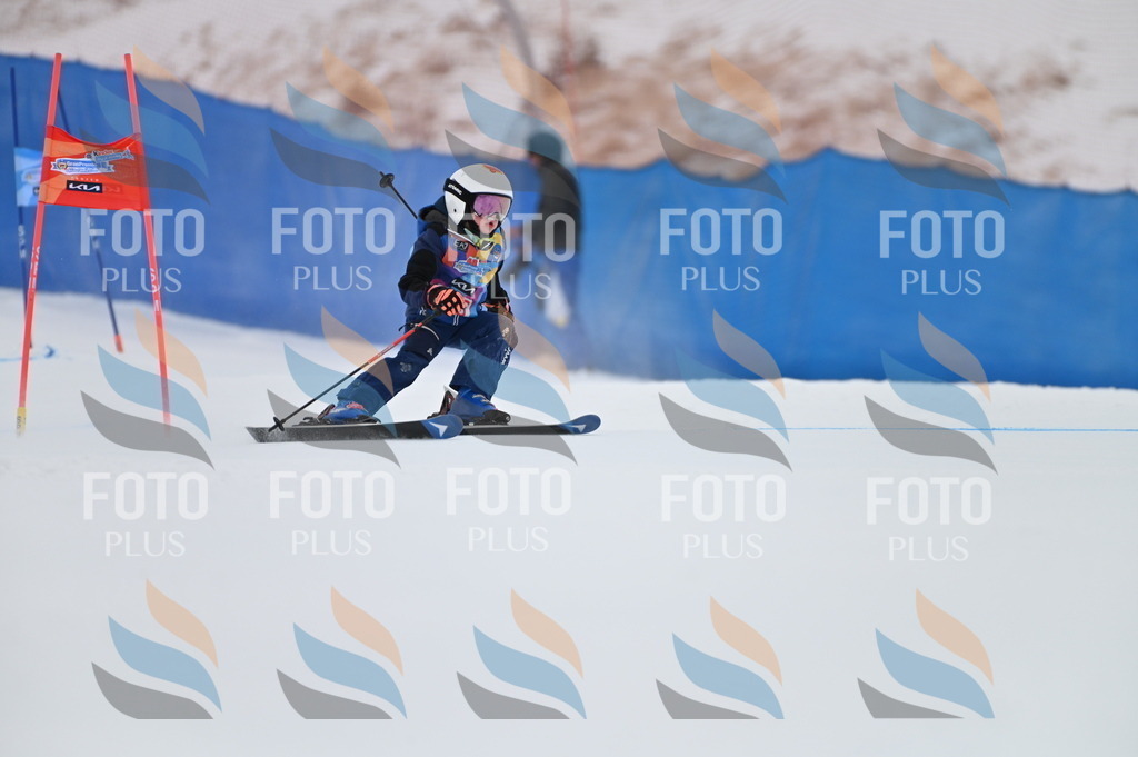 BGV_2264 | holidayphoto