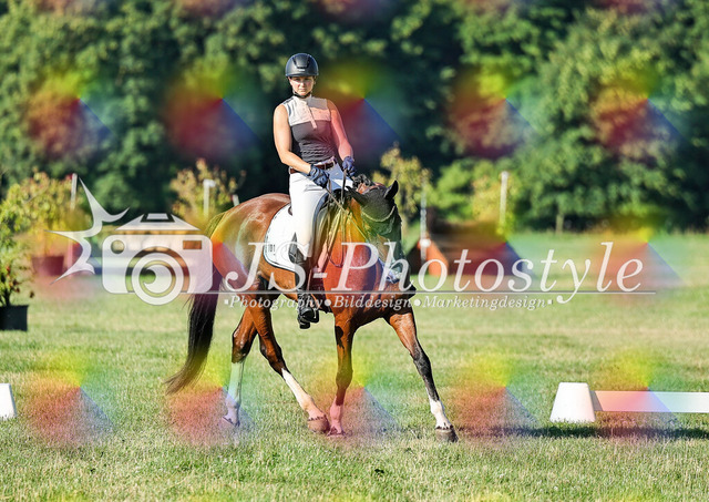 20260628_14a_VA_Dressur-12 | JS-Photostyle - Sport-/Portrait- & Eventfotografie