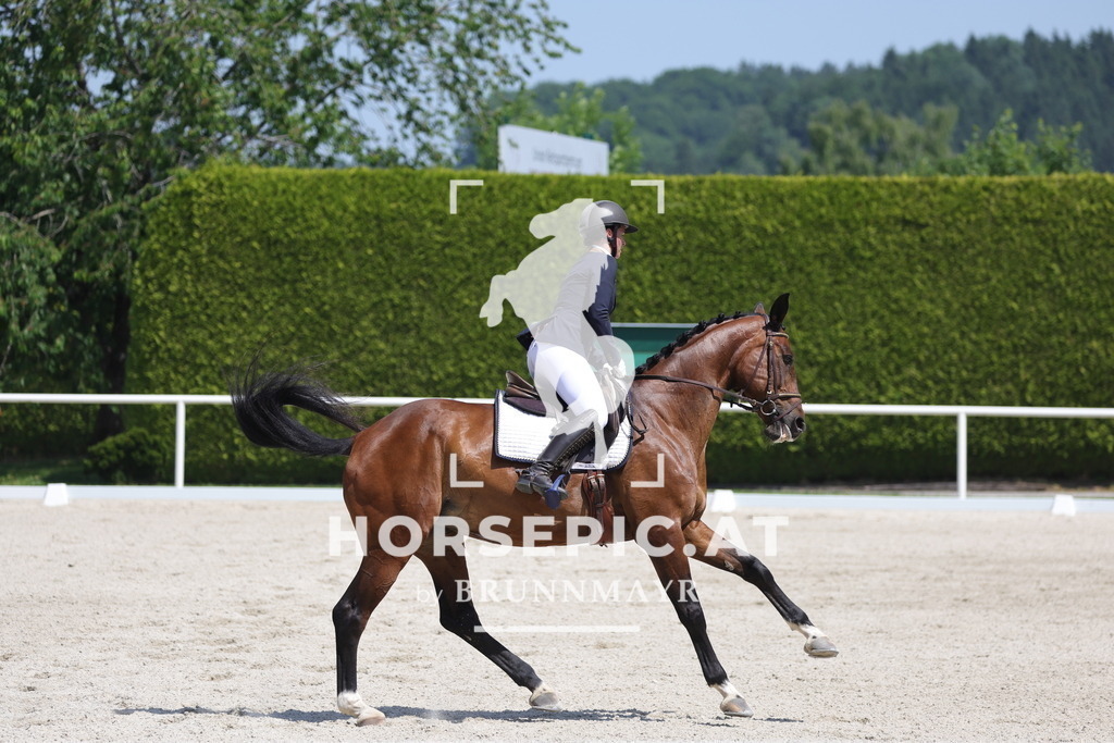0P6A6066 | Willkommen bei Brunnmayr - Design & Fotografie – Ihrem Spezialisten für Reitturniere und Pferdeveranstaltungen in Oberösterreich, Salzburg und Bayern! Seit über 17 Jahren sind wir leidenschaftlich dabei.