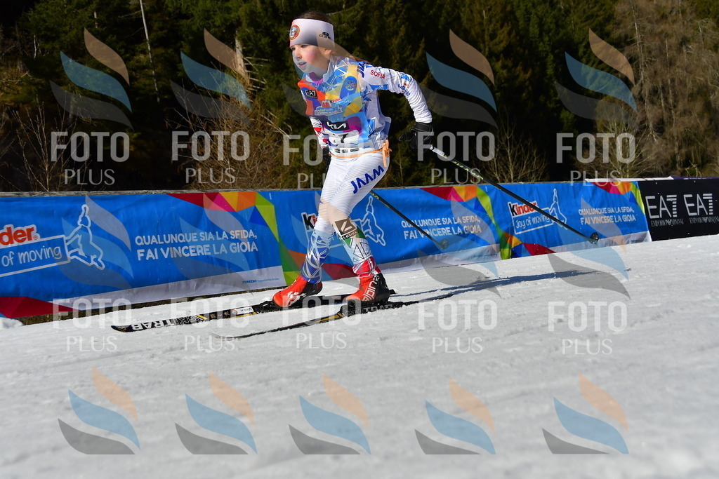 _DSC8750 | holidayphoto