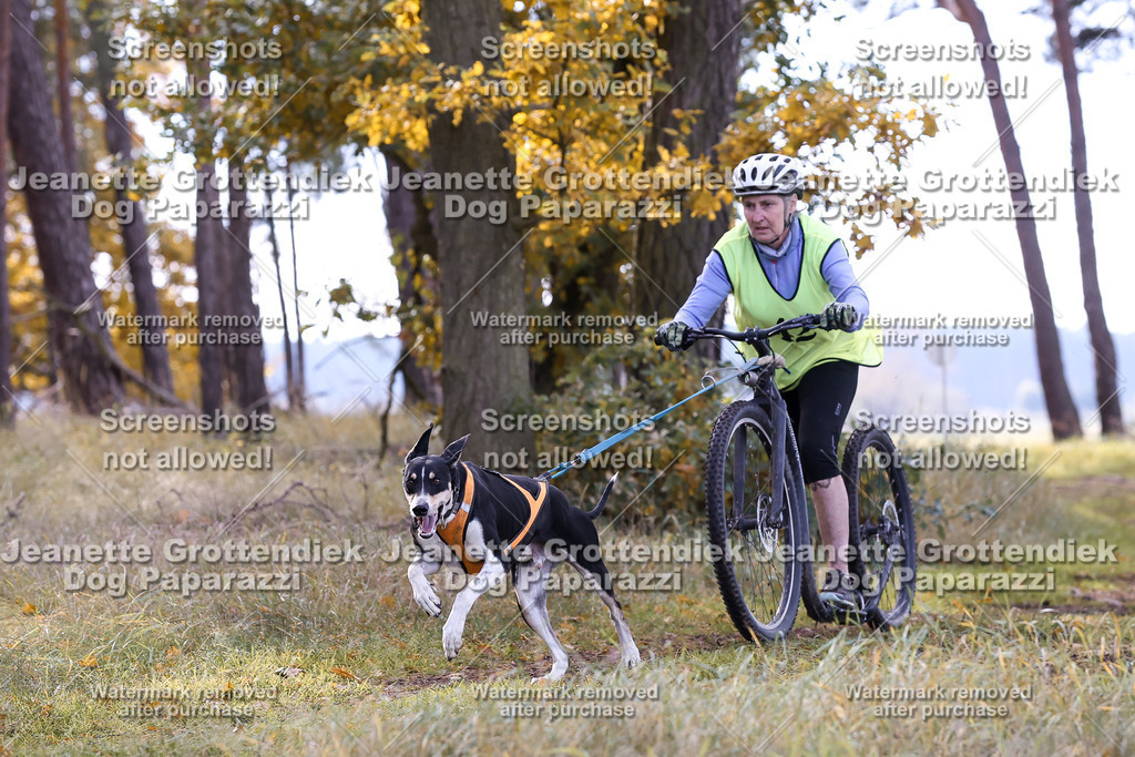 Dog Paparazzi - Elsholz 25 -165 | Dog Paparazzi Jeanette Grottendiek Fotografie & Videografie - Realisiert mit Pictrs.com