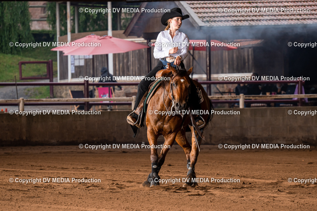 Erbach Tag 2-1045 | dv-media-shop - Realisiert mit Pictrs.com