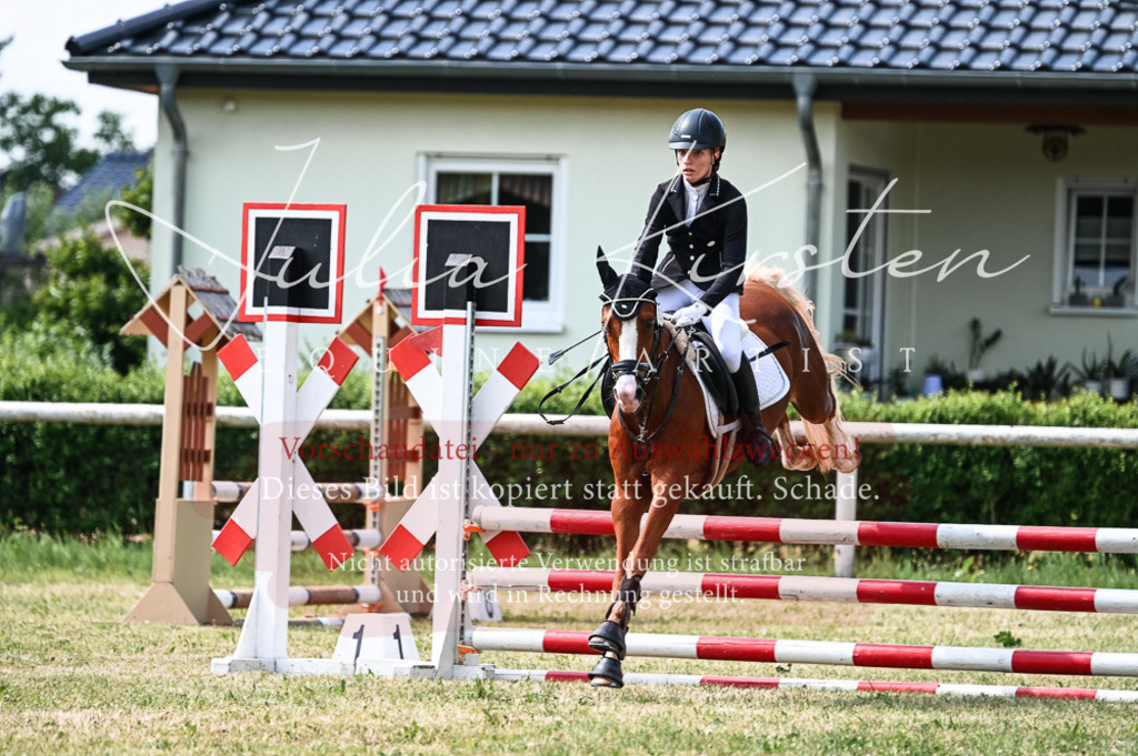 DSC_8716 | Pferde- und Turnierfotografie in Westsachsen. Pferdeportraits, Auftragszeichnungen und intuitive Kunst.