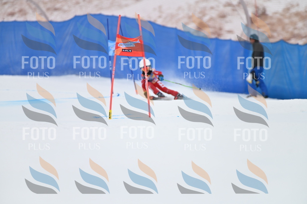 BGV_2822 | holidayphoto