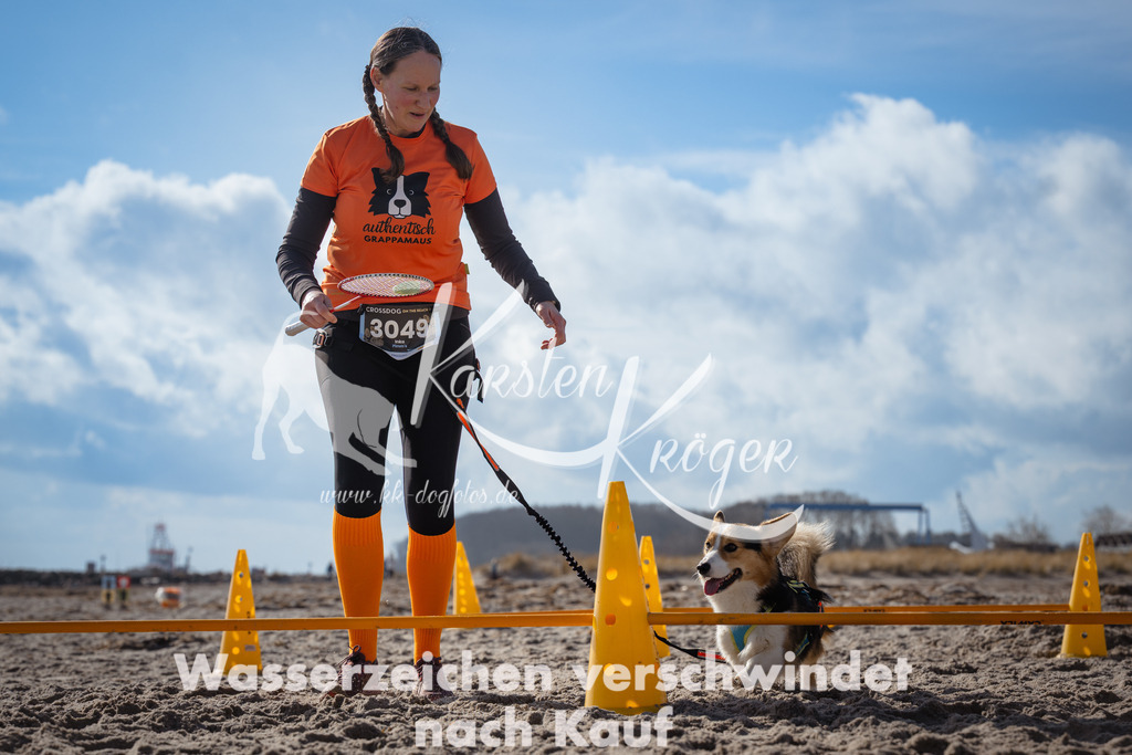 1252_ZZ99268 | kk-dogfotos