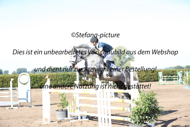 IMG_8922 | stefana-picture - Realizado com Pictrs.com