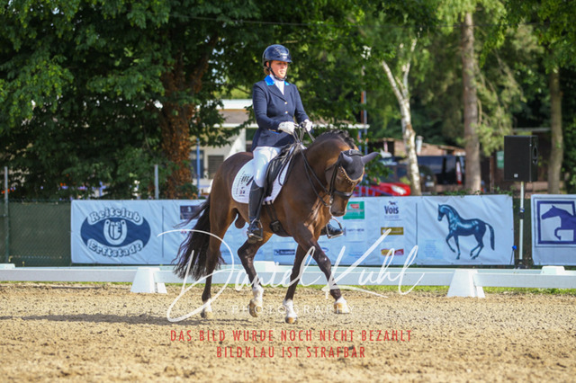 DKP41294 | Turniersportfotografie; Pferdefotografie; Dressurfotografie