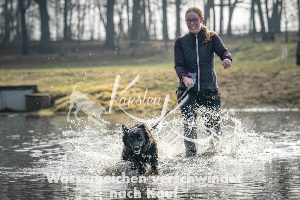 0951_ZZ94300 | kk-dogfotos