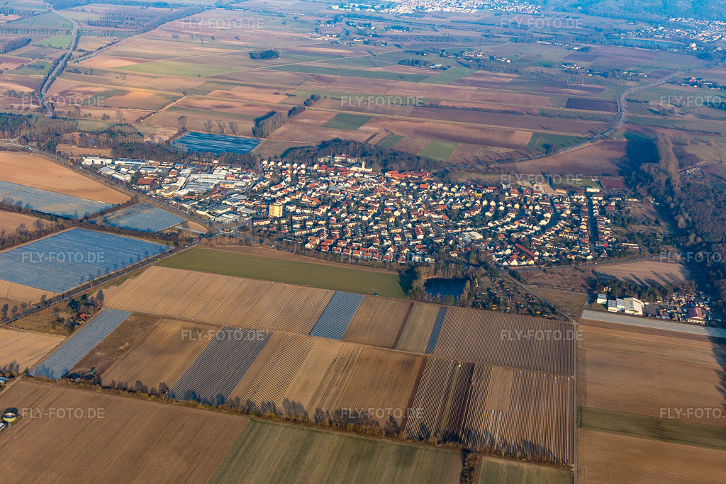 Luftbild: Ortsansicht von Norden in Lampertheim im Bundesland Hessen in Deutschland. Foto: IMG_096700.jpg vom 14.02.2017 durch Werner Riehm/FLY-FOTO.de