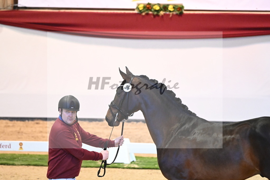 Kat.-Nr. 36 v. Bon Vivaldi_Kornes_2240363 | hf-fotografie - Realisiert mit Pictrs.com