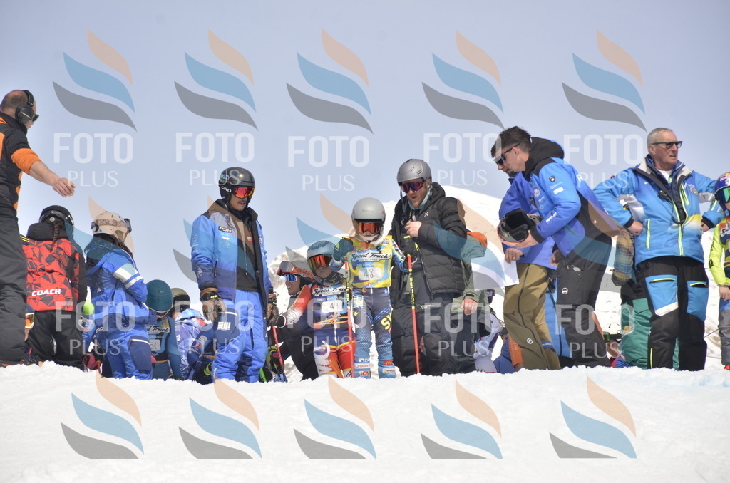 _ELE8789 | holidayphoto