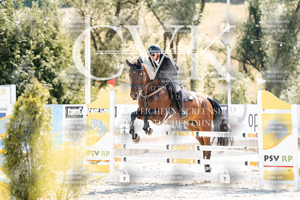 CK909041 | Turnierfotografie Pferdefotografie Trier Rheinland-Pfalz Pferdesport Reitsport Tierfotografie Sportfotografie Pferdevideo Pferdevideografie Equestrianvideography equestrianphotography  - Realisiert mit Pictrs.com
