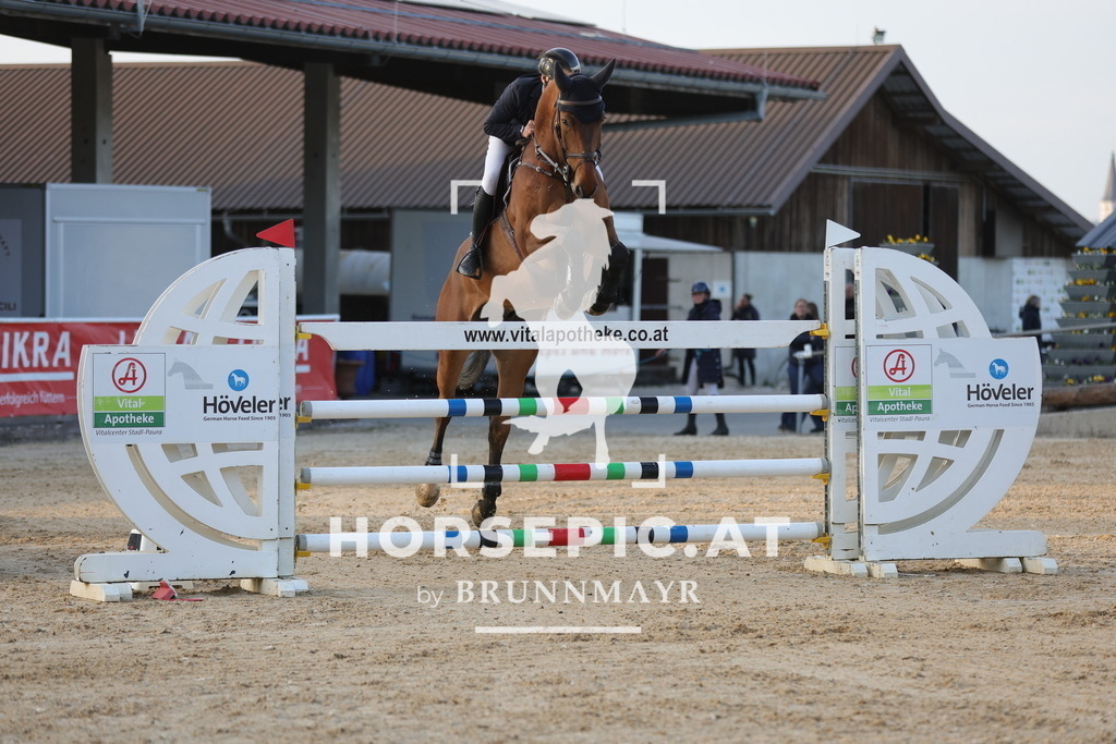 0P6A3327 | Willkommen bei Brunnmayr - Design & Fotografie – Ihrem Spezialisten für Reitturniere und Pferdeveranstaltungen in Oberösterreich, Salzburg und Bayern! Seit über 17 Jahren sind wir leidenschaftlich dabei.