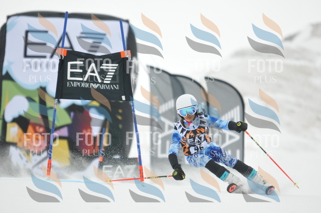 DSC_7672 | holidayphoto