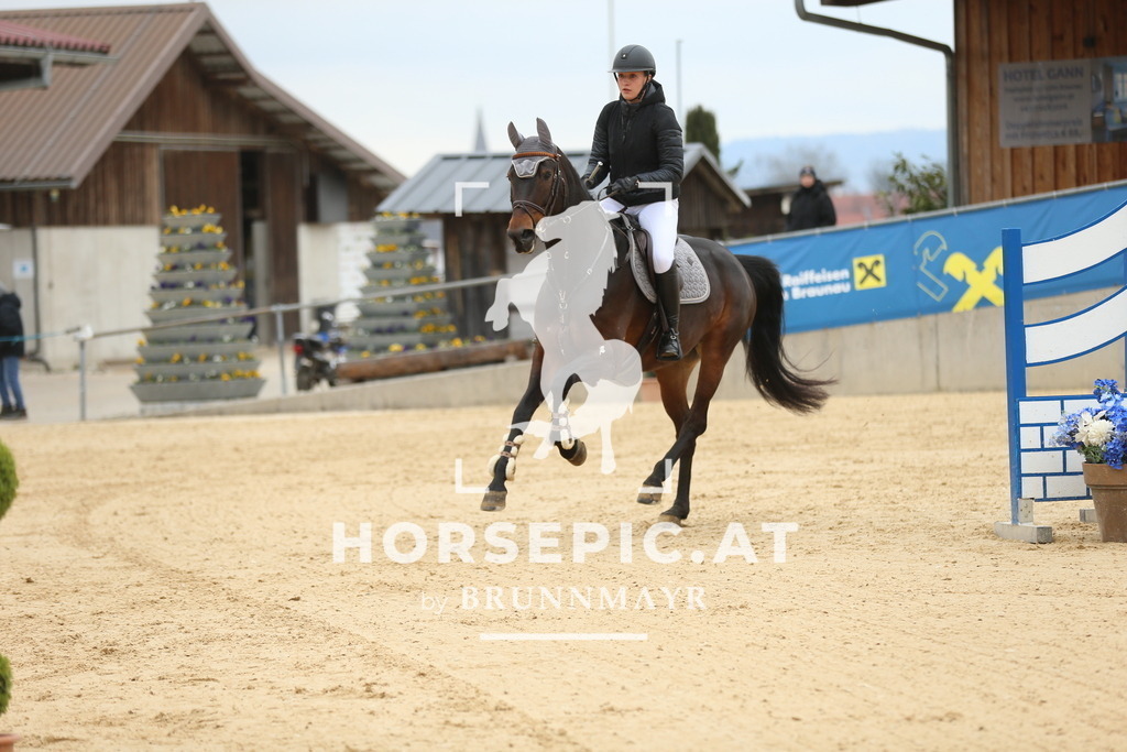 DL2Q5805 | Willkommen bei Brunnmayr - Design & Fotografie – Ihrem Spezialisten für Reitturniere und Pferdeveranstaltungen in Oberösterreich, Salzburg und Bayern! Seit über 17 Jahren sind wir leidenschaftlich dabei.