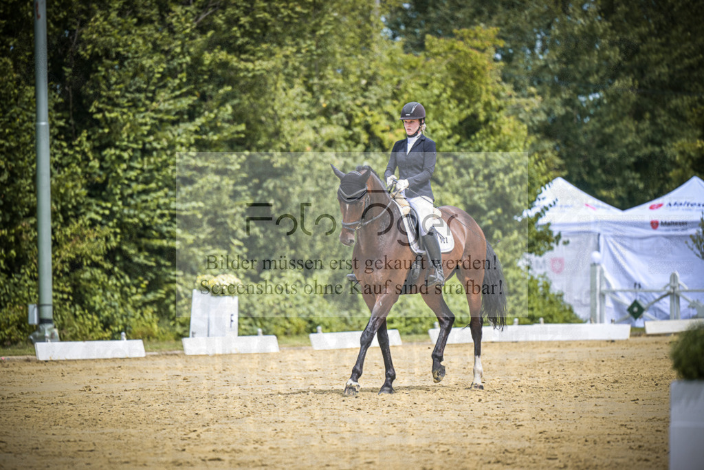 DOS_3436 | Entdecke hochwertige Reitturnierfotos von Foto Oger. Professionell, emotional und authentisch – jetzt Lieblingsmomente im Shop bestellen.Deutschlandweite Turnierfotografie. - Realisiert mit Pictrs.com