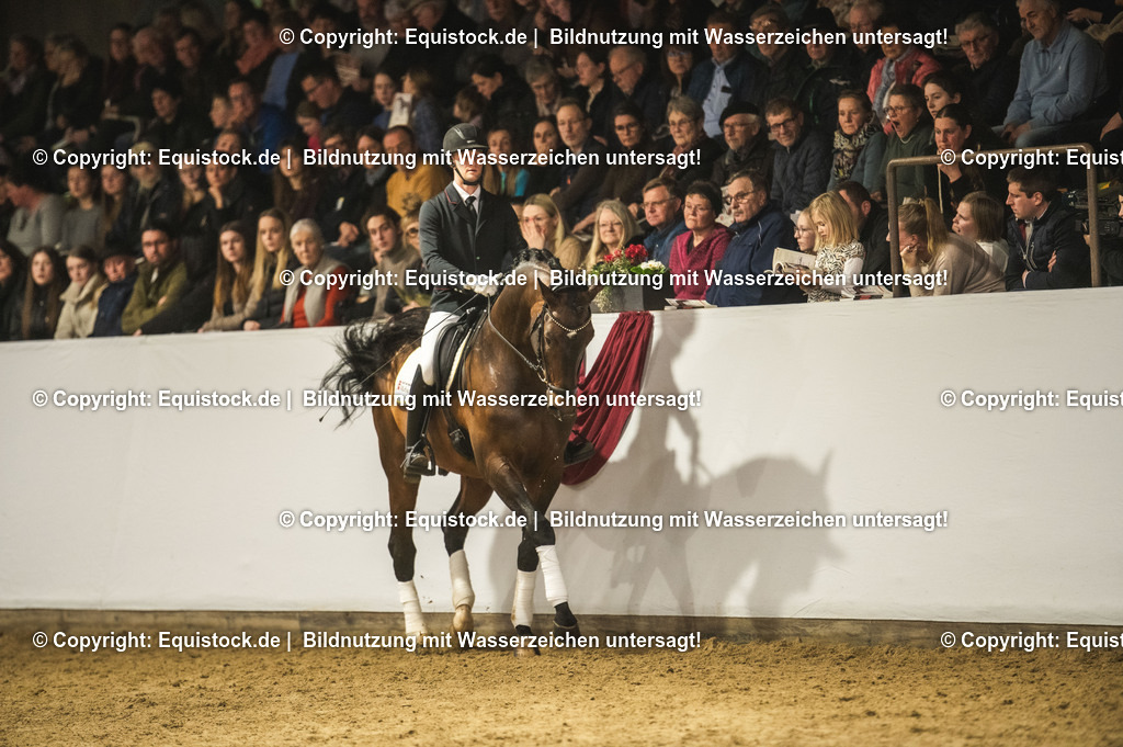 20240302_Hengstvorstellung_Marbach_TOMsPiC_1233 | equistock