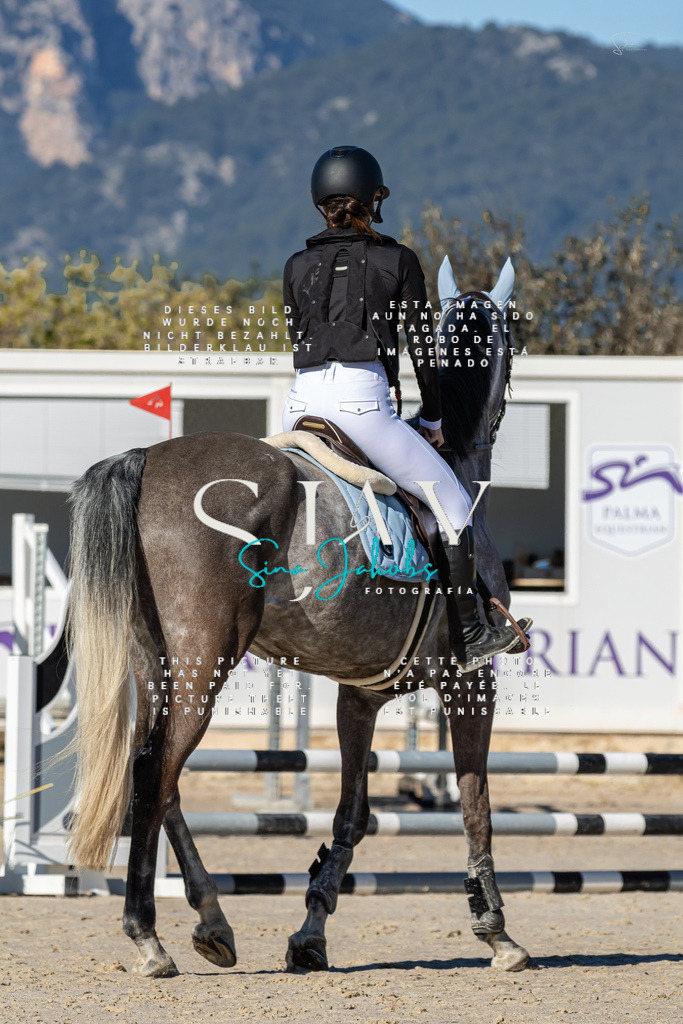 IMG_8166 | s-jay-photography - Realisiert mit Pictrs.com