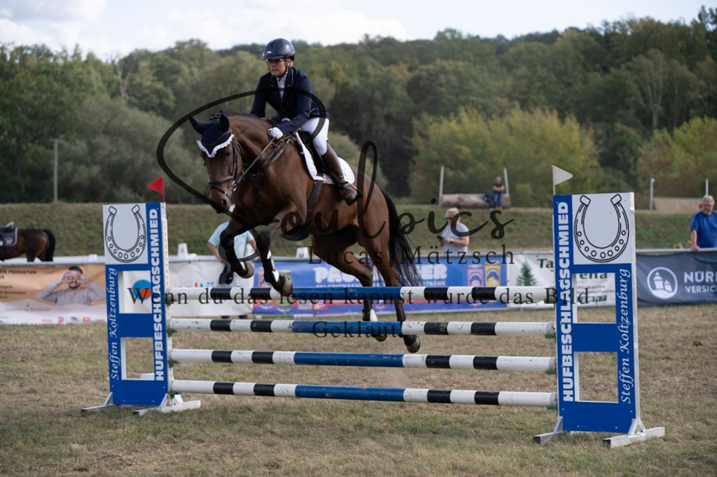 A7V09282 | Pferdefotograf