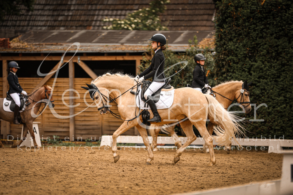 01.DoDrRWB00160 | Leoni Ertmer Photography - Realisiert mit Pictrs.com