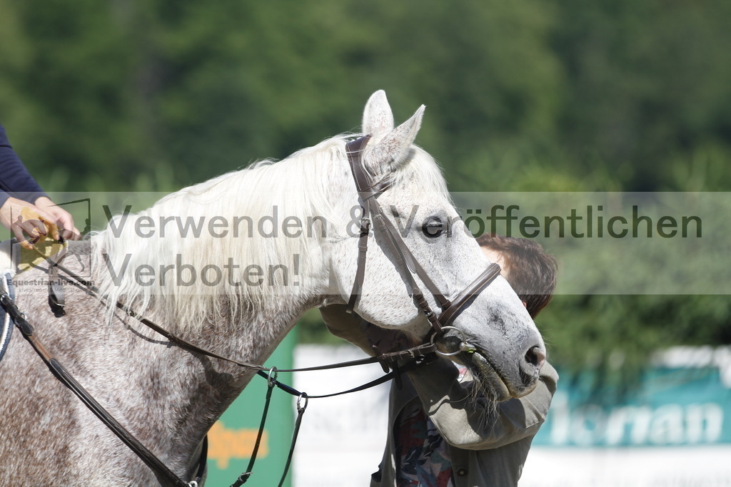 _MG_2647 | equestrian-live-com