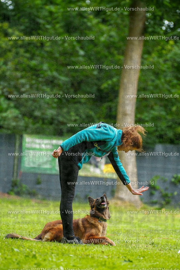 @allesWIRTHgut_Tierfotografie - www.allesWIRTHgut.de - 102106-7R508384 | Professionelle Tierfotografie in Mönchengladbach von Daniel Wirth (allesWIRTHgut). Liebevolle & natürliche Bilder von Hunden & Katzen für unvergessliche Erinnerungen.