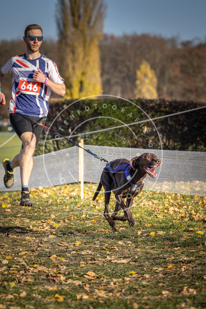 CaniXpix_DV3A0426 | Hundefotografie, Tierfotograf, Pfotenfotografie, Fotoshooting Hund, Hunde Portrait, Hundesport, Hundeportraits, Heideshooting, Hunde, Sportfotograf, Hundefotograf, Turnierhundsport, THS,  - Realisiert mit Pictrs.com
