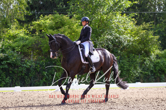 DKP41517 | Turnierfotos kaufen im Webshop von Daniel Kuhl Photography – entdecke professionelle Reitsportfotos aus Turnieren & Events. Hochwertige Turnierbilder online bestellen & sichern. Jetzt Fotos von Reitsportturnieren kaufen!