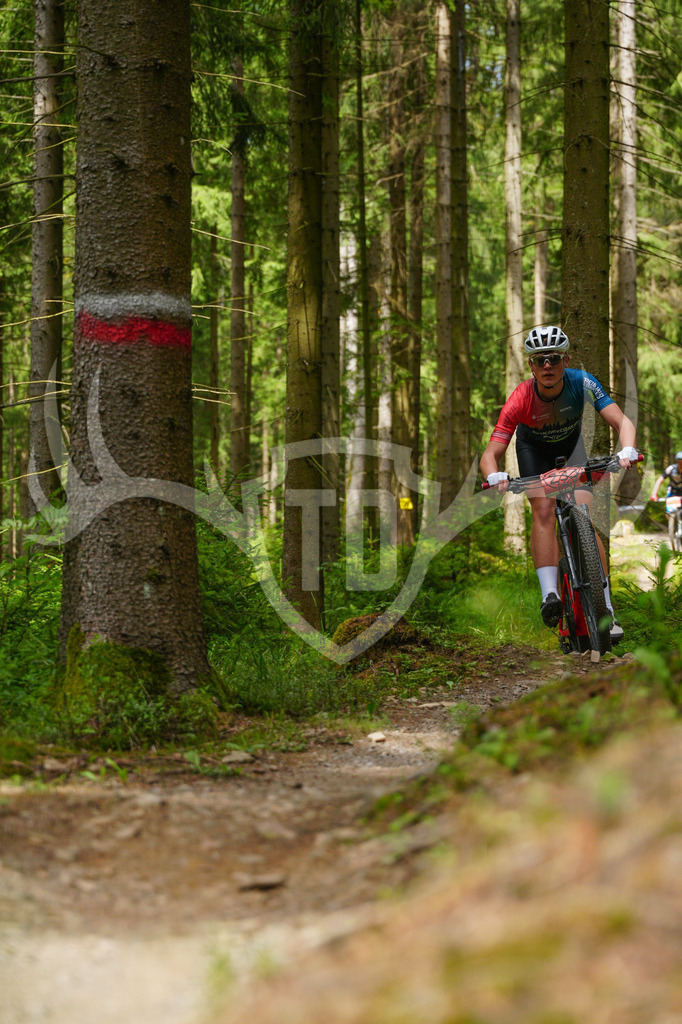 FC603779 | Fotogalerie der Treibjagd im Dunkelwald - Dein MTB Etappenrennen im Erzgebirge - Realisiert mit Pictrs.com
