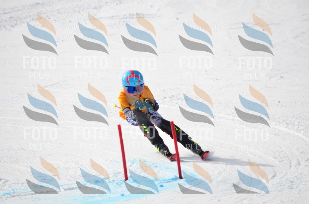 C8079 | holidayphoto