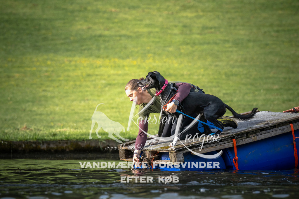_ZZ934660705 | kk-dogfotos