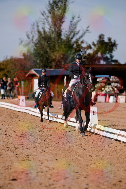 2026_10_03_Siefer-Hof_120728_Z81_09293070 | Professionelle Reitsport-, Turnier- und Eventfotografie von Robert Broda. Galerien mit ausgewählten und bearbeiteten Bildern direkt online ansehen und bestellen.
