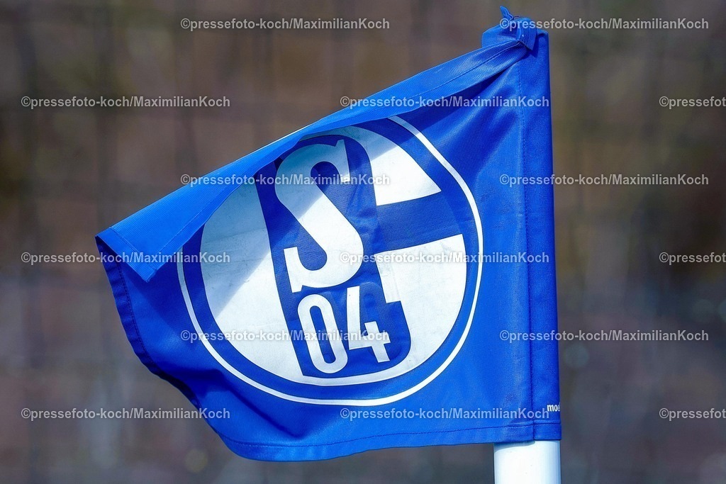 xSSCx15022601046 | 15.02.2026, xsscx, Herren Fussball, FC Schalke 04 U23 - Wuppertaler SV, Regionalliga West, 22. Spieltag, Parkstadion, Saison 2025 2026: Eckfahne von Schalke 04 am Spielfeldrand DFB regulations prohibit any use of photographs as image sequences and or quasi-video. Photo: xSandraxScherningxPressefotoKochx