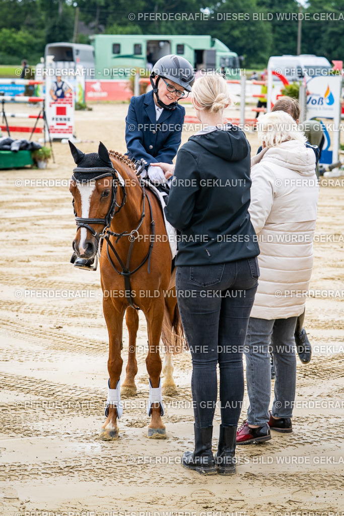 DSC06541 | Pferdegrafie